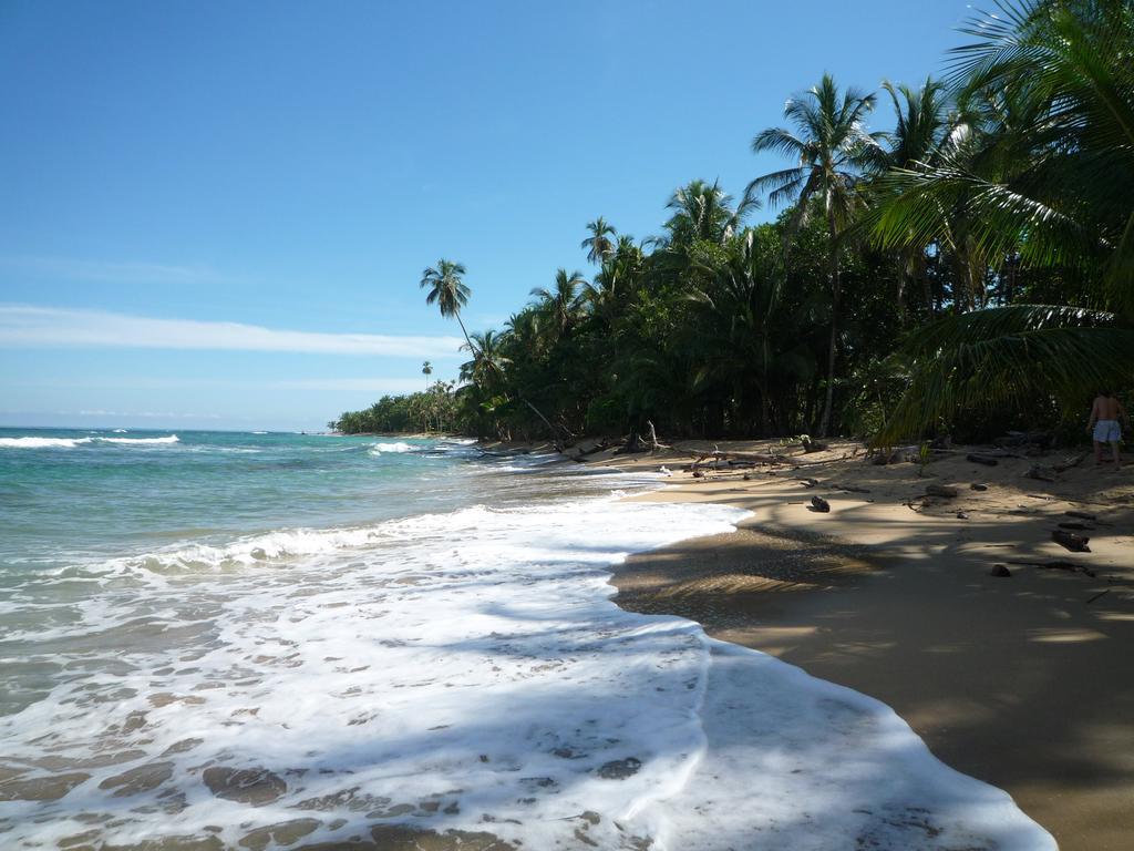 马尔佛得角住宿加早餐旅馆 Puerto Viejo de Talamanca 外观 照片