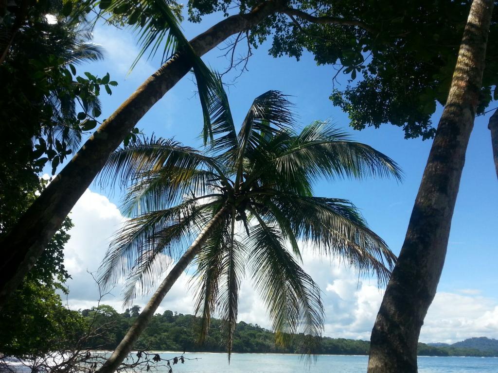 马尔佛得角住宿加早餐旅馆 Puerto Viejo de Talamanca 外观 照片