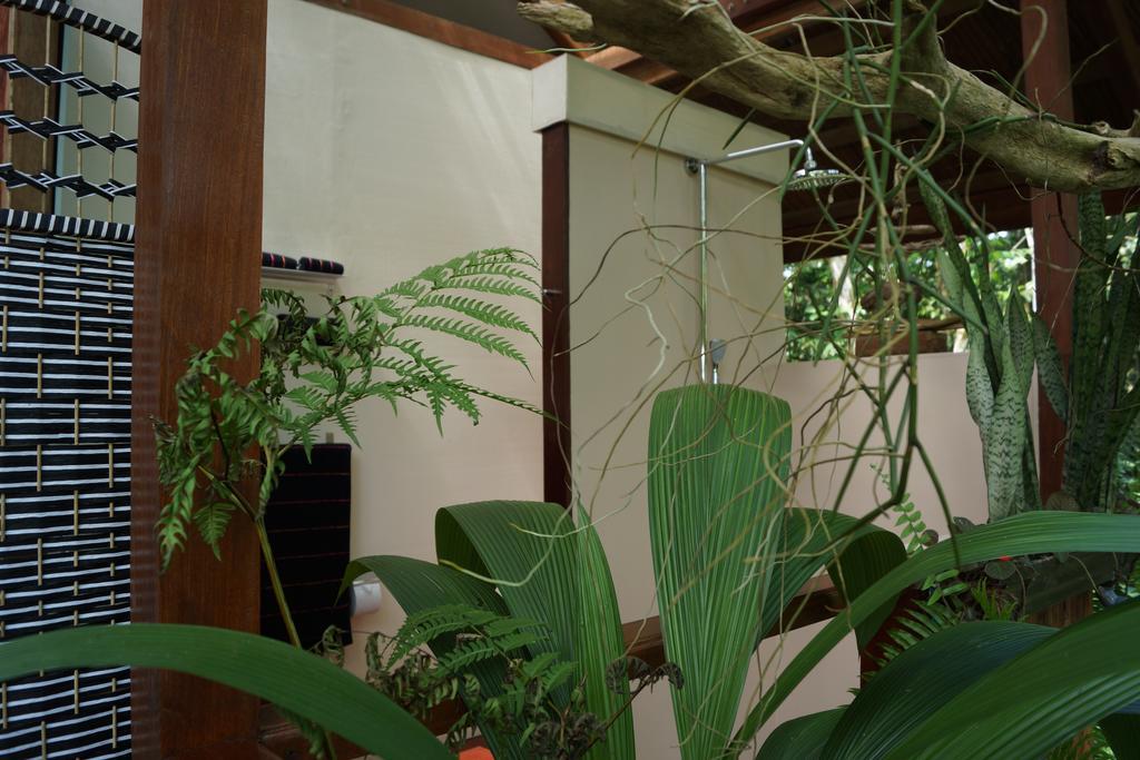 马尔佛得角住宿加早餐旅馆 Puerto Viejo de Talamanca 外观 照片