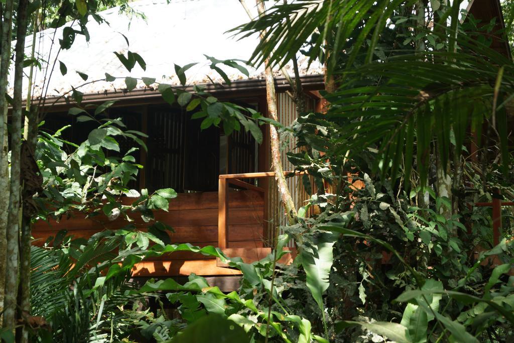 马尔佛得角住宿加早餐旅馆 Puerto Viejo de Talamanca 客房 照片