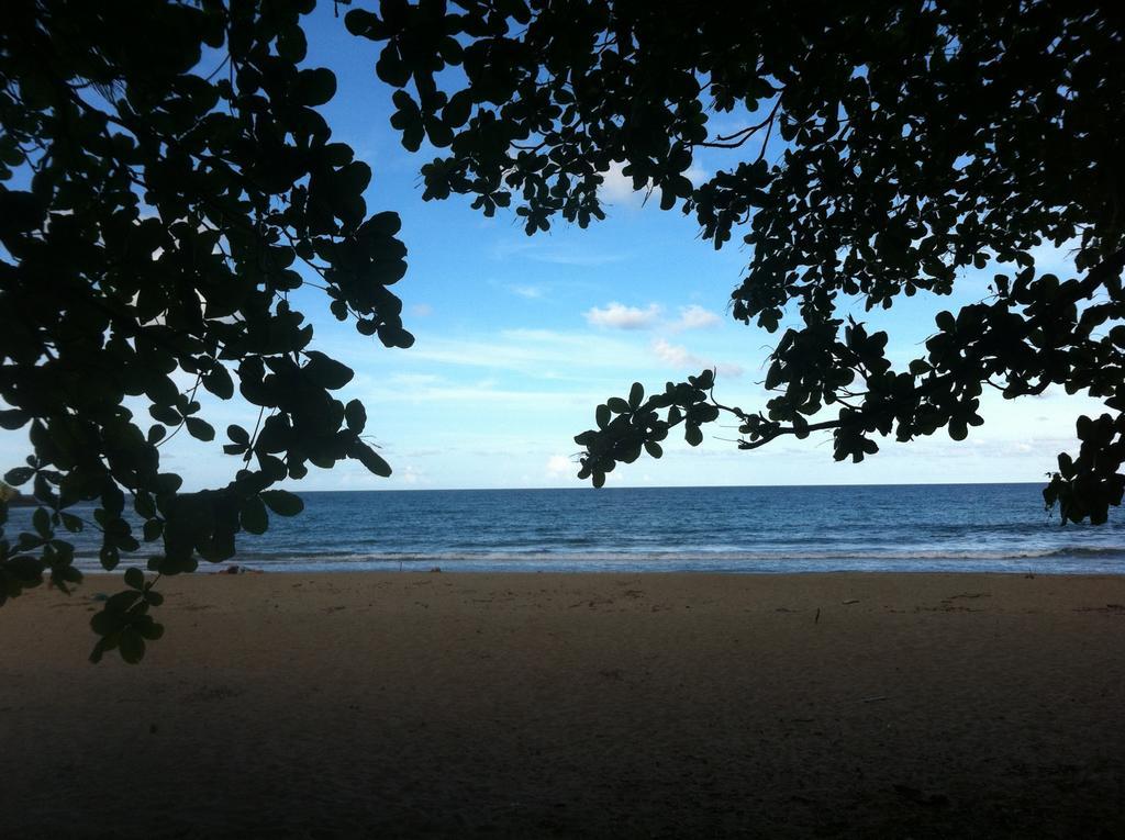 马尔佛得角住宿加早餐旅馆 Puerto Viejo de Talamanca 外观 照片