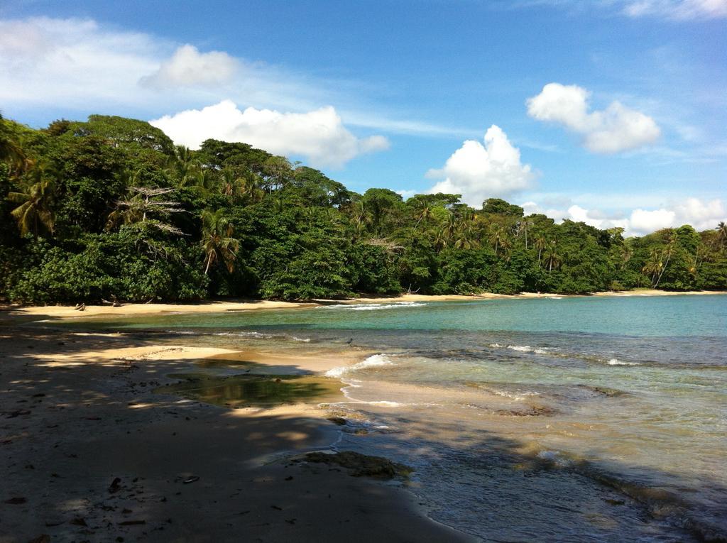 马尔佛得角住宿加早餐旅馆 Puerto Viejo de Talamanca 外观 照片
