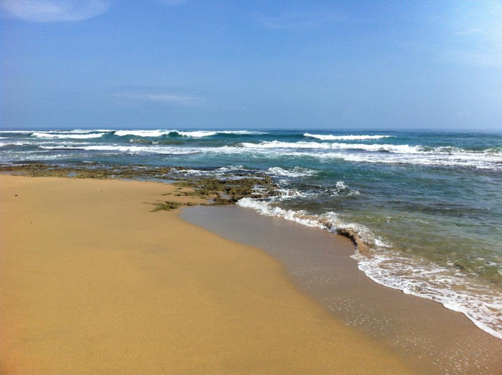 马尔佛得角住宿加早餐旅馆 Puerto Viejo de Talamanca 外观 照片