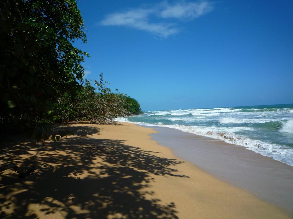 马尔佛得角住宿加早餐旅馆 Puerto Viejo de Talamanca 外观 照片
