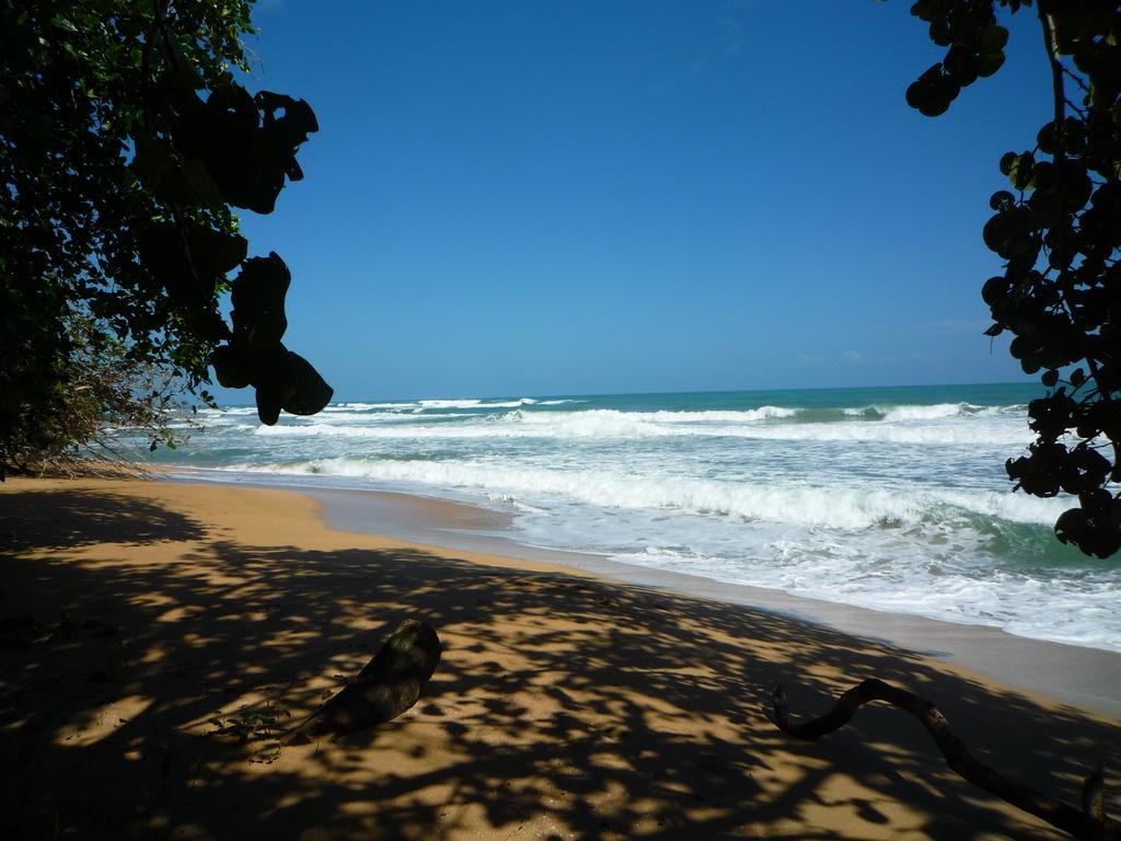 马尔佛得角住宿加早餐旅馆 Puerto Viejo de Talamanca 外观 照片