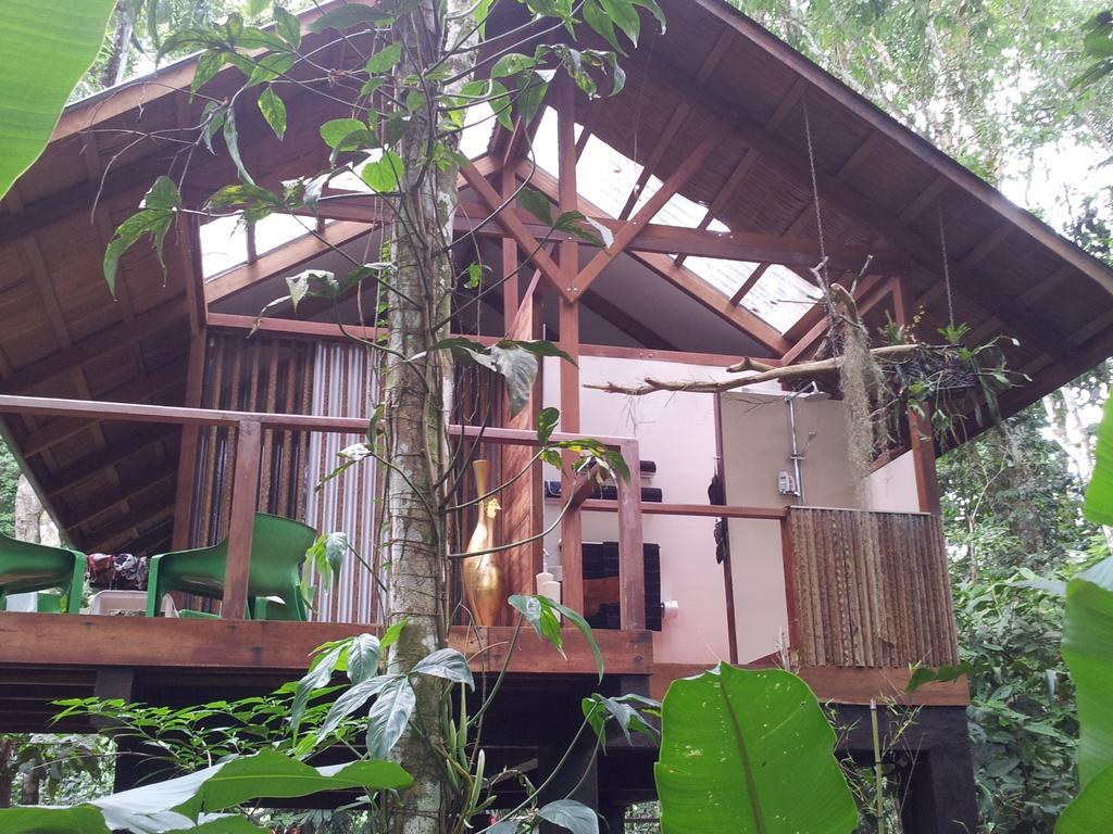 马尔佛得角住宿加早餐旅馆 Puerto Viejo de Talamanca 客房 照片