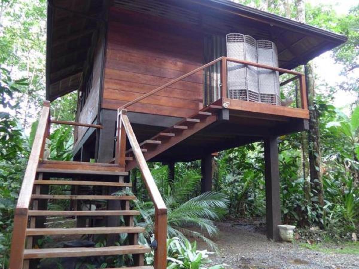 马尔佛得角住宿加早餐旅馆 Puerto Viejo de Talamanca 外观 照片