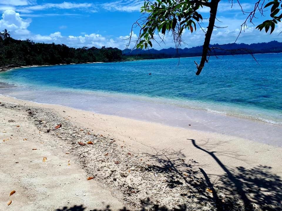 马尔佛得角住宿加早餐旅馆 Puerto Viejo de Talamanca 外观 照片