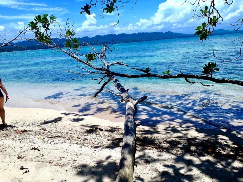 马尔佛得角住宿加早餐旅馆 Puerto Viejo de Talamanca 外观 照片