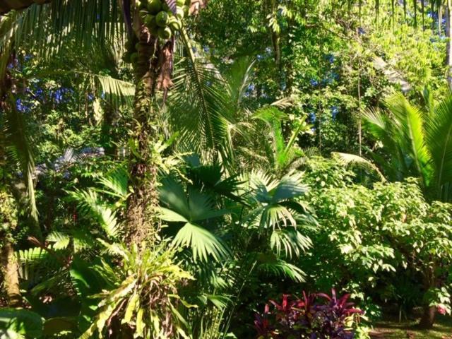 马尔佛得角住宿加早餐旅馆 Puerto Viejo de Talamanca 外观 照片