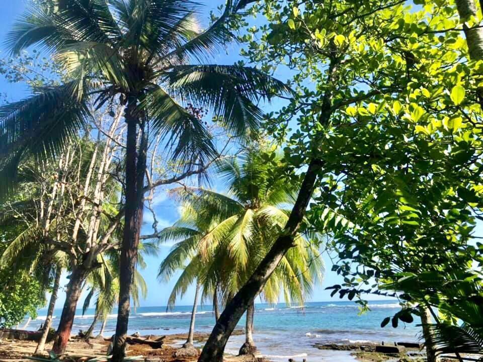 马尔佛得角住宿加早餐旅馆 Puerto Viejo de Talamanca 外观 照片